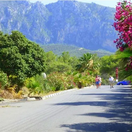 Sunport Hotel Seafront Rooms !
