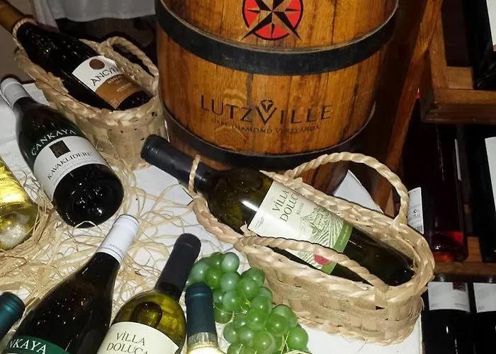 Sunport Boutique Hotel Beachfront Rooms ! Szálloda Kerínia